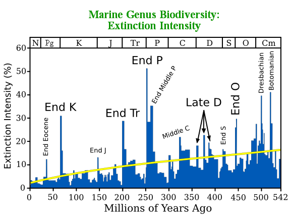 Define Generation Gap And Holocene Extinction Define Generation Gap And Holocene Extinction